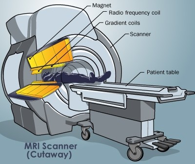 mri-illustration