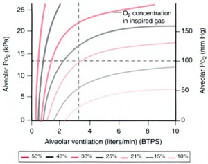 alveolar ventilation and oxygenation